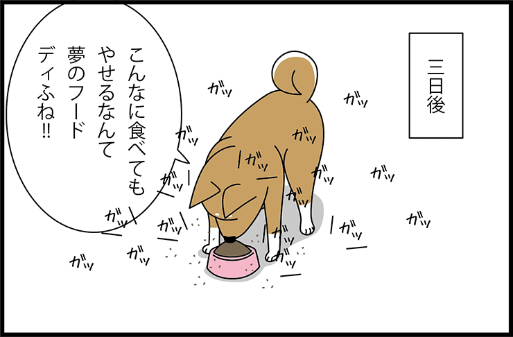 漫画で読む犬の飼い方_6