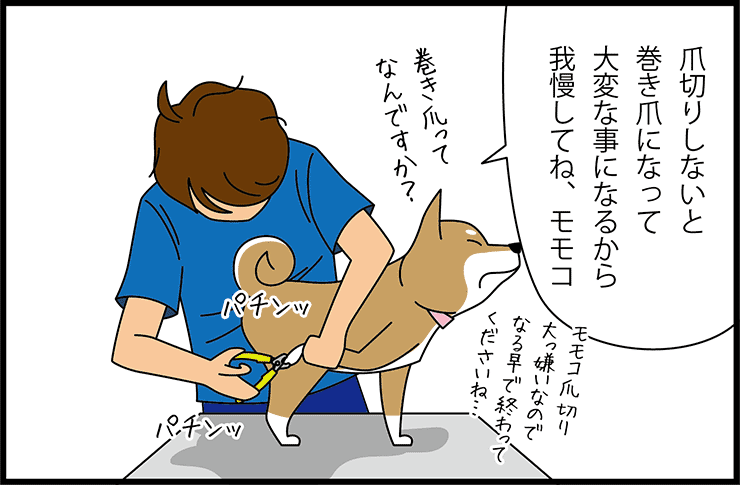 漫画で読む犬の飼い方_3