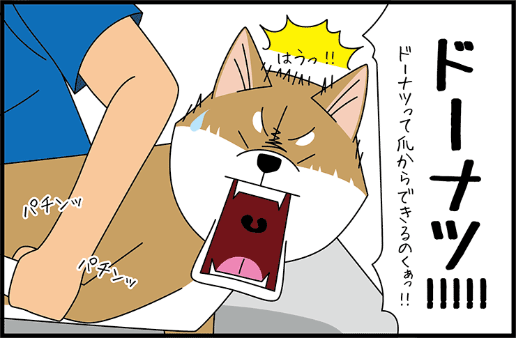 漫画で読む犬の飼い方_5