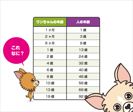 犬と人間の年齢の違いを知ろう！