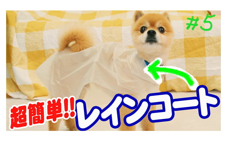 愛犬のためのDIY！犬用レインコートを手作りしてみよう！