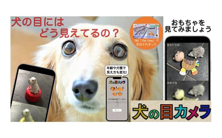「犬の目カメラ」は、愛犬の視覚が擬似体験できるスマホアプリ 404Eyewear ドッグパッド