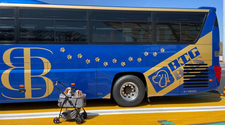 愛犬と一緒に大型犬まで専用バスで旅行を楽しめる！「わんわんトラベルバスツアー」ドッグパッド取材