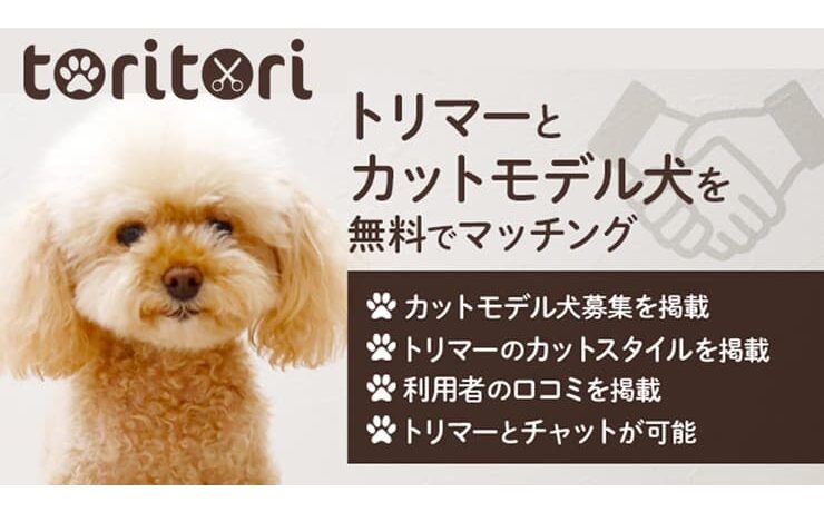 愛犬がモデル犬になれるかも？カットモデル犬募集情報の掲載サイト「toritori」