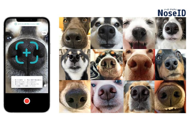 犬の鼻紋認証技術で迷子犬ゼロを目指す日本初のサービス「Nose ID」