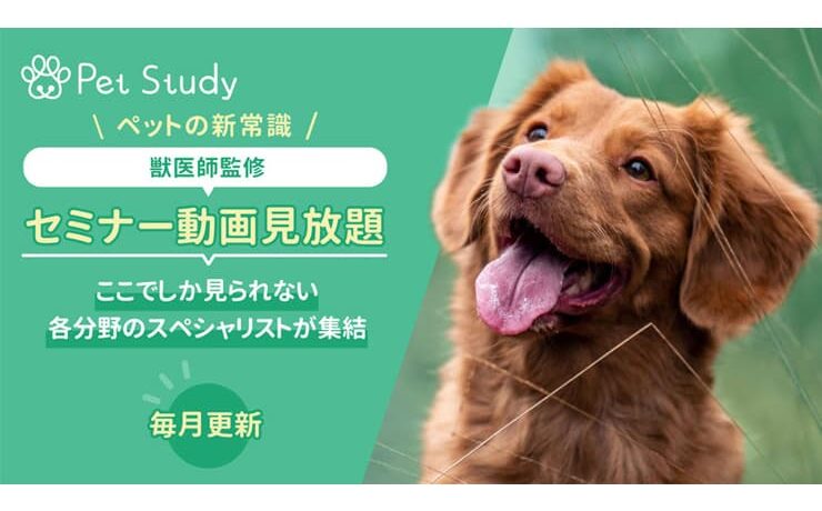 ペットに役立つ獣医師監修のセミナーが無料で見放題「ペットスタディー」