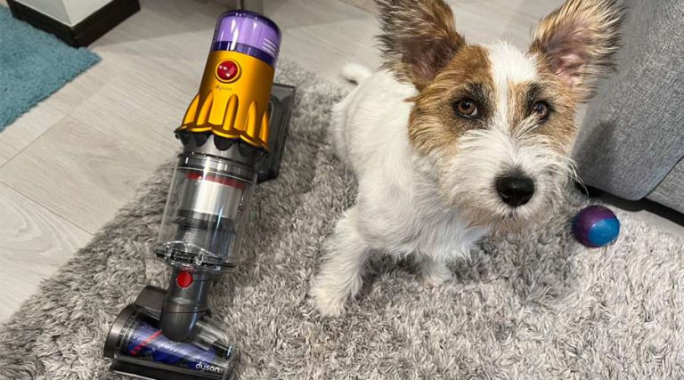 犬と暮らす家でダイソンの掃除機を使ってみたらハウスダストがどれだけいるか判明！ Dyson V12 Detect Slim モニターレポート