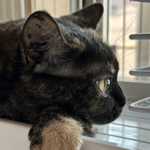 竹下てつお