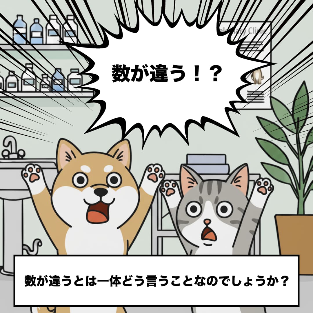 カルーセル画像 5