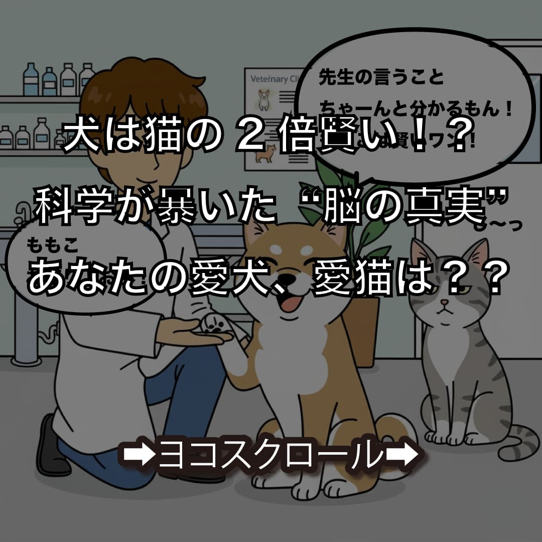 カルーセル画像 1