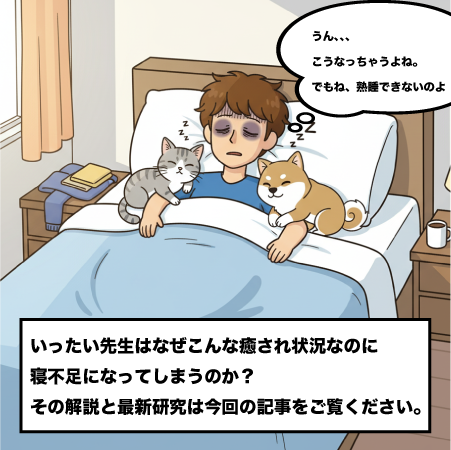 カルーセル画像 5