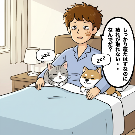 カルーセル画像 2