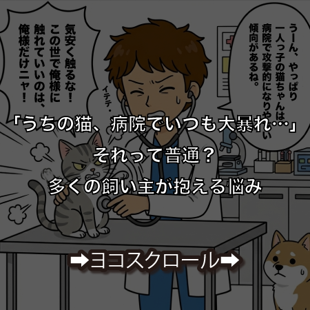 カルーセル画像 1