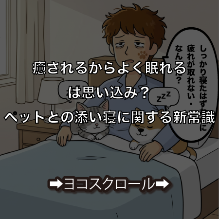 カルーセル画像 1