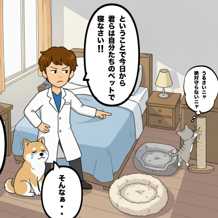 カルーセル画像 4